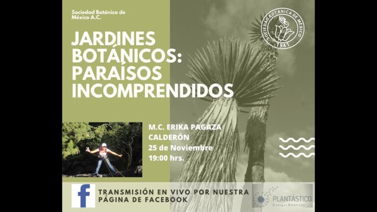 Restauración Ecológica en Jardines Botánicos: Un Enfoque Sostenible