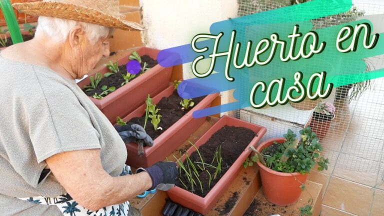 Gu&iacute;a Pr&aacute;ctica para Crear tu Jard&iacute;n Urbano Ideal