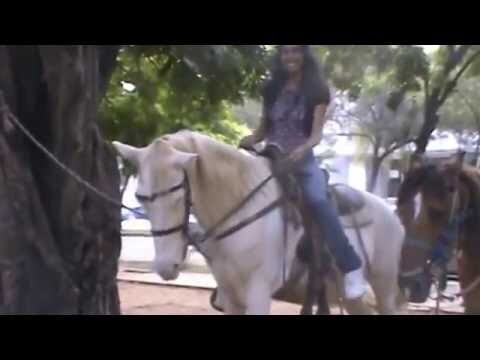 Recorridos Did&aacute;cticos en Parques de Exhibici&oacute;n: Aprendizaje Interactivo