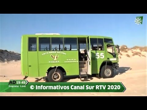 Descubre Do&ntilde;ana: Excursiones Guiadas en el Parque Nacional