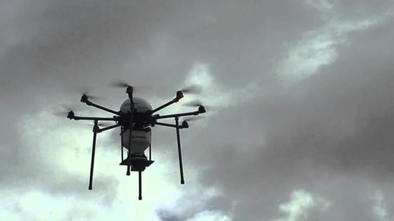 Desaf&iacute;os en la Restauraci&oacute;n de Bosques Postincendio