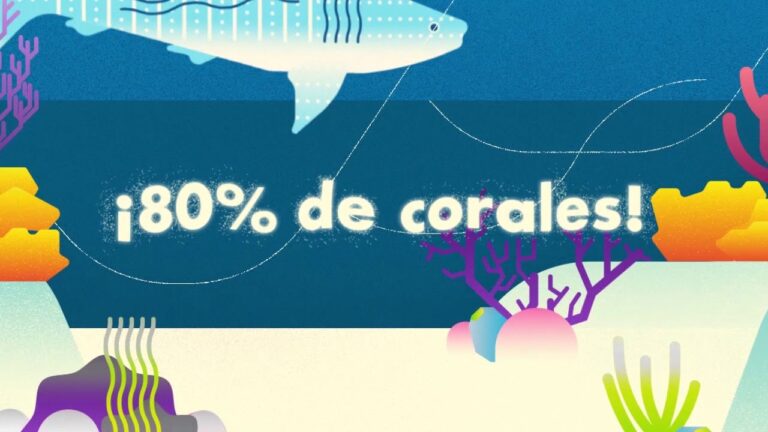 La importancia de las zonas verdes en los ecosistemas marinos