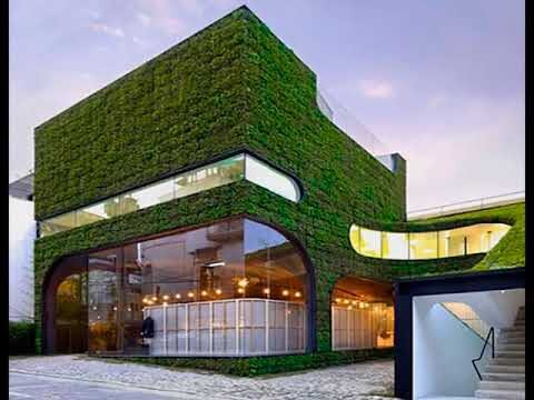 Jardines Verticales: Soluci&oacute;n Ecol&oacute;gica para Urbanismo Sostenible