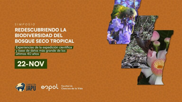 Biodiversidad en los Bosques Costero: Un Tesoro Ecol&oacute;gico
