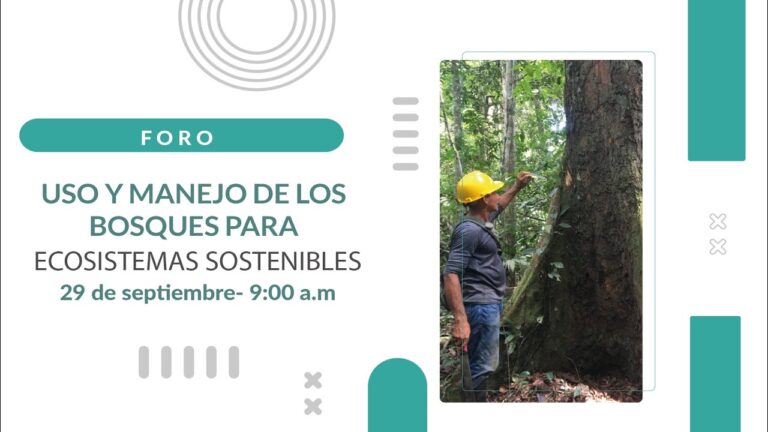 Aprovechamiento Sostenible de Bosques P&uacute;blicos: Estrategias y Beneficios