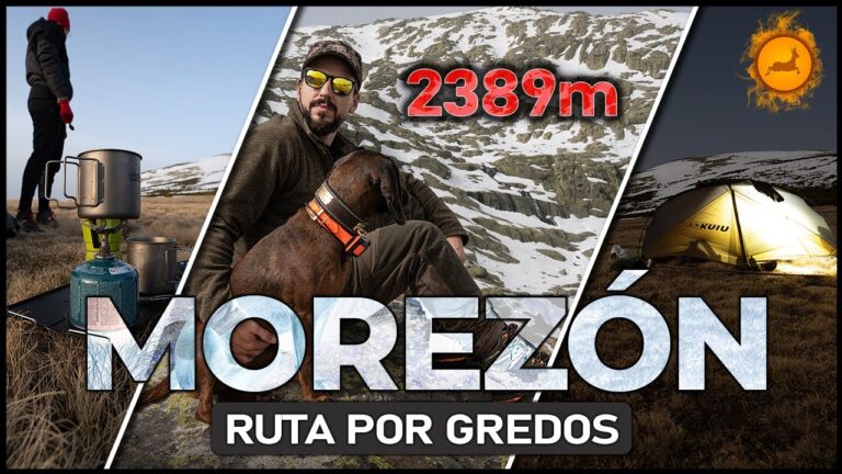 Explorando la Fauna Salvaje en Rutas de Monta&ntilde;a