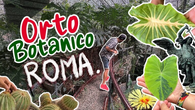 Explora Jardines Históricos en Paseos Guiados