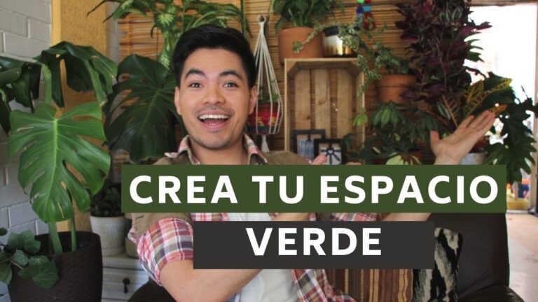 Armonía y Tranquilidad en Espacios Verdes Urbanos