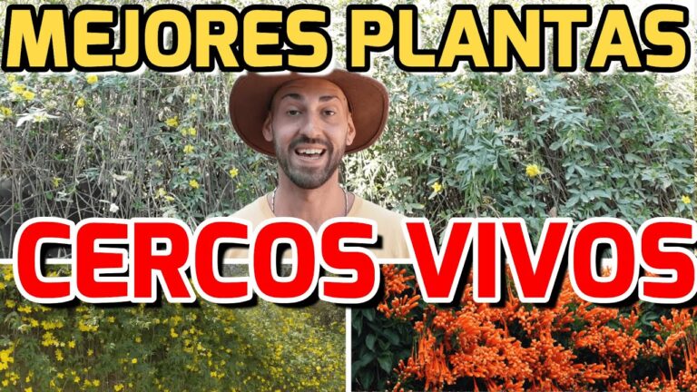 Especies de Plantas Perfectas para Jardines Privados