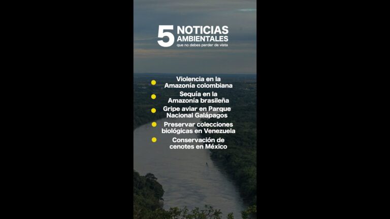Estrategias para la Preservación Ambiental en Zonas de Pesca Recreativa