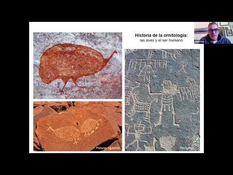 &Aacute;reas de Observaci&oacute;n de Aves en Riberas de R&iacute;os