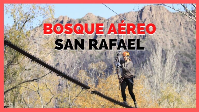 Aventura y Diversi&oacute;n en Canopy entre &Aacute;rboles en Parques Naturales