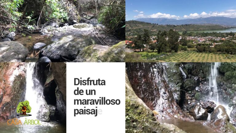 Descubre Momentos &Uacute;nicos en Miradores Naturales