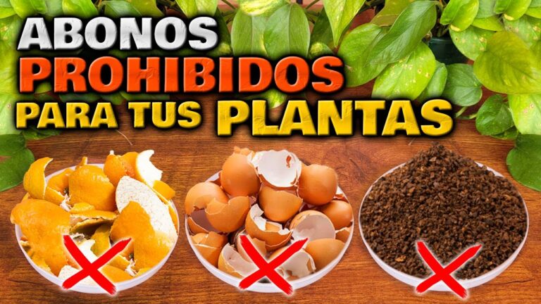 Fertilizantes Naturales para Jardines Urbanos: Guía Esencial