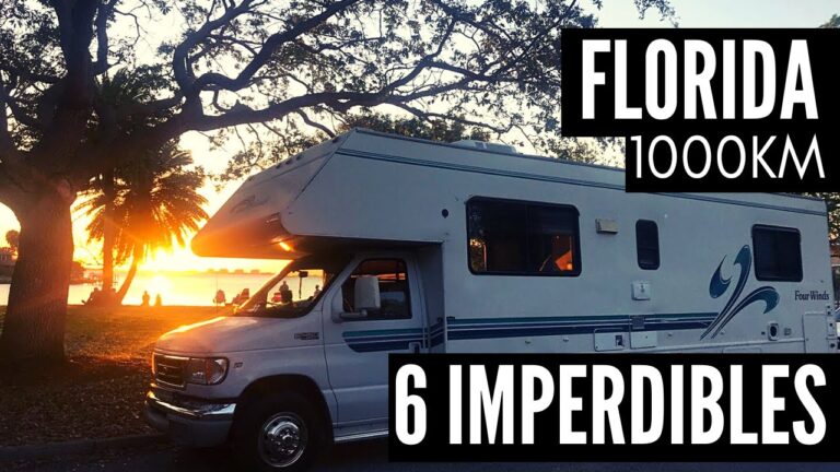 Gu&iacute;a Perfecta para una Escapada de Picnic en Zonas de Descanso