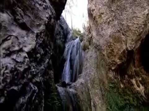 Vida Salvaje en Monumentos Naturales de Monta&ntilde;as Nevadas