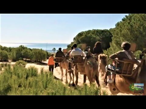 Excursiones Naturales: Playas y Dunas en Armon&iacute;a con la Naturaleza