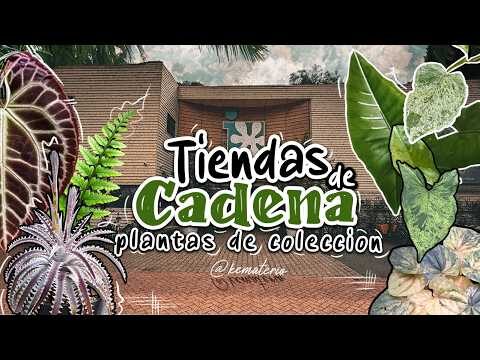 Belleza de las Plantas Ex&oacute;ticas en Jardines