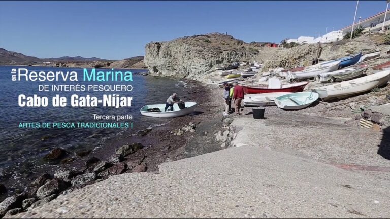 Beneficios de las Reservas Marinas para la Pesca Sostenible