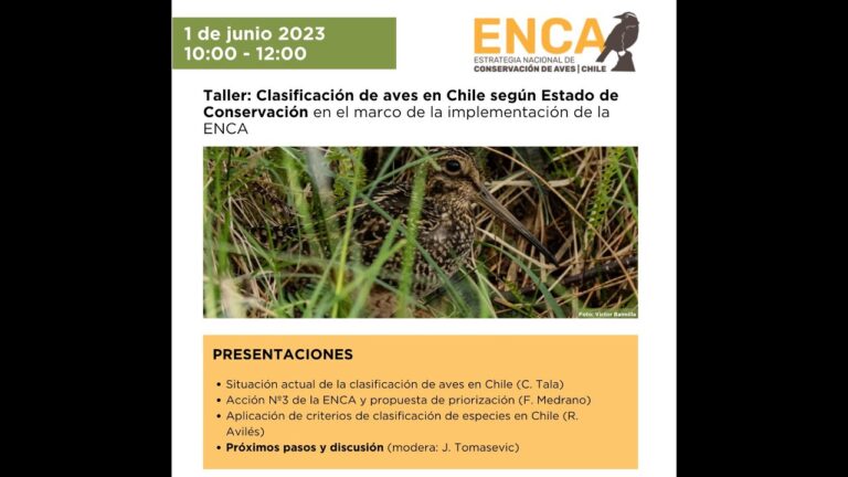 Biodiversidad Aviar en Espacios Naturales: Conservaci&oacute;n y Retos