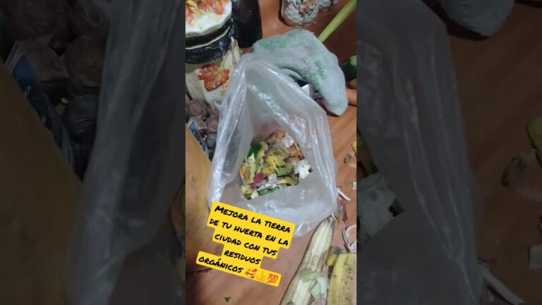 Aprovechamiento Sostenible de Residuos en Huertos Urbanos