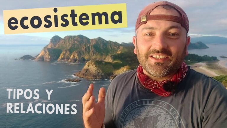 Biodiversidad de Aves en Dunas Costeras