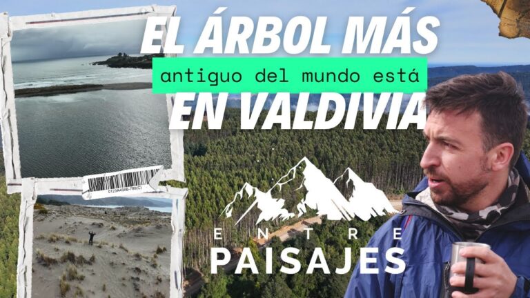Exploraci&oacute;n de Flora y Fauna en Senderos Ribere&ntilde;os