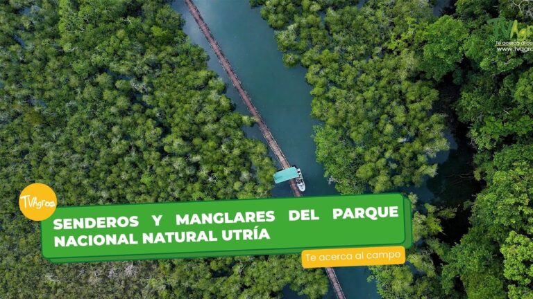 Explorando la Biodiversidad: Senderismo en Parques Naturales