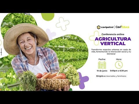 Fomentando la Sostenibilidad con Jardines y Huertos Urbanos