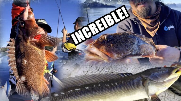 Secretos de la pesca en el mar