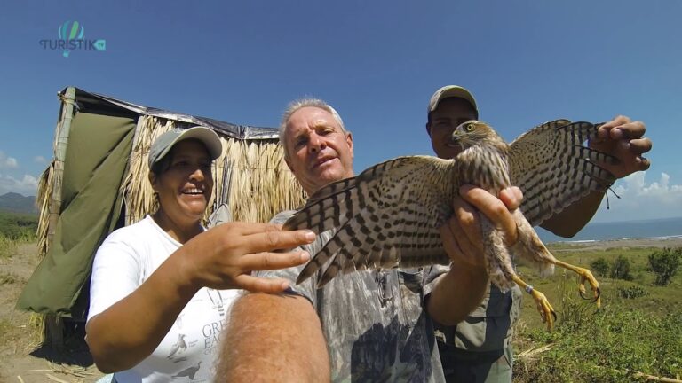 Biodiversidad Aviar en &Aacute;reas de Acampada