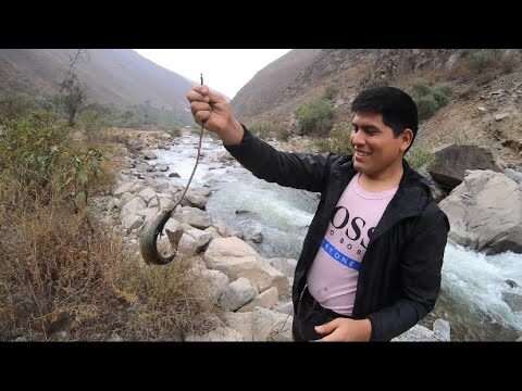 Los Mejores Destinos de Pesca Recreativa en Lagunas