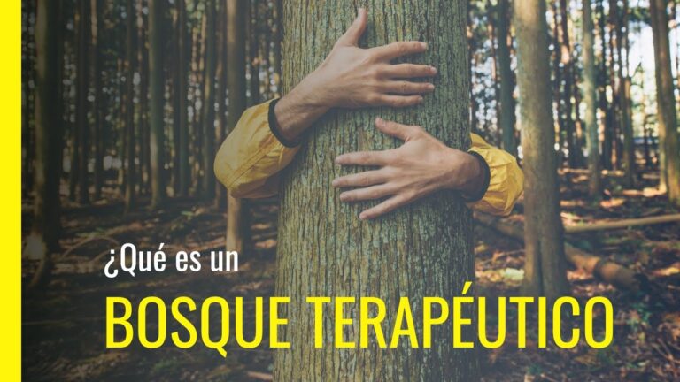 Beneficios de los Jardines Terap&eacute;uticos en &Aacute;reas Verdes