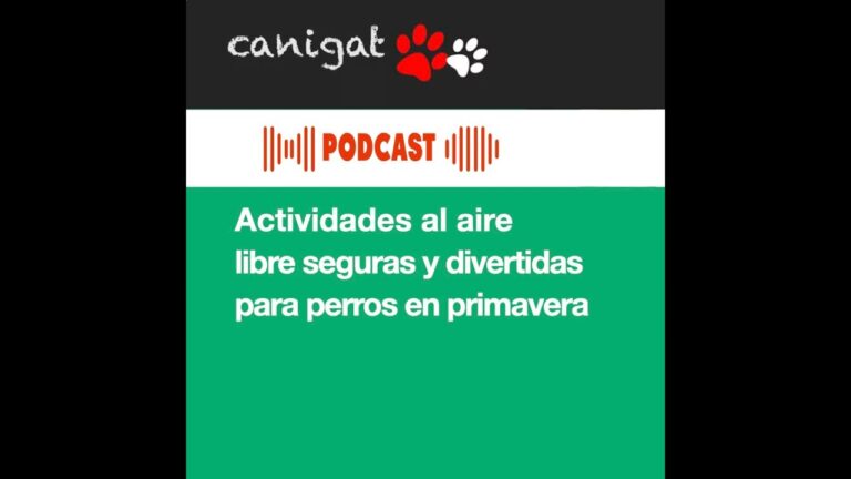 Actividades al Aire Libre para Mascotas