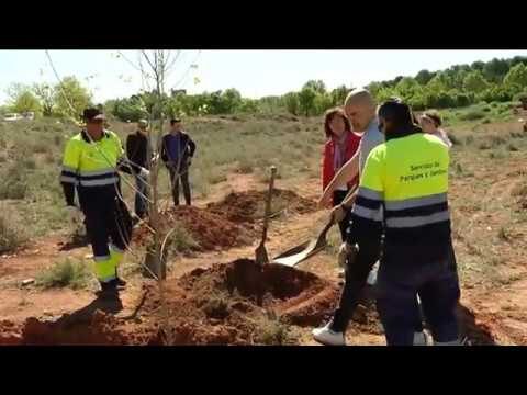 Celebraciones en Jardines y Zonas Verdes