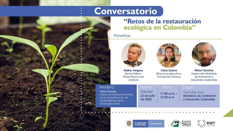 Zonas de Restauraci&oacute;n en Entornos Verdes: Clave para la Sostenibilidad