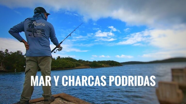 Zonas Ideales para la Pesca Recreativa en Muelles