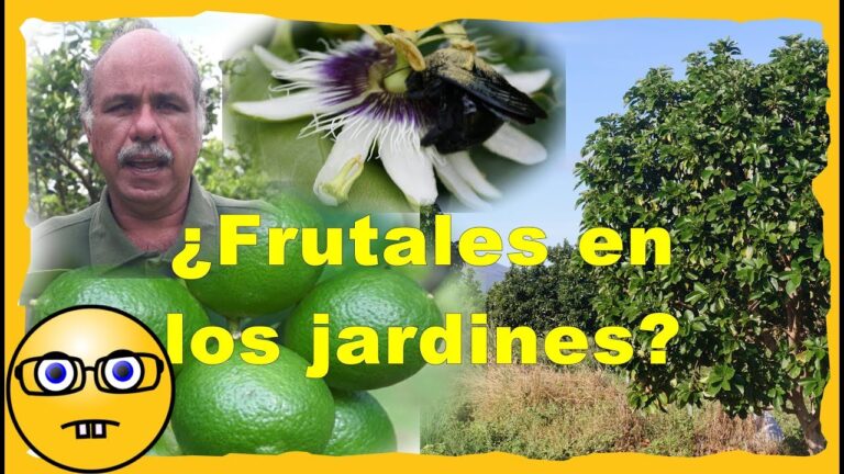 Innovación Agrícola: Tecnología en Jardines y Huertos Urbanos