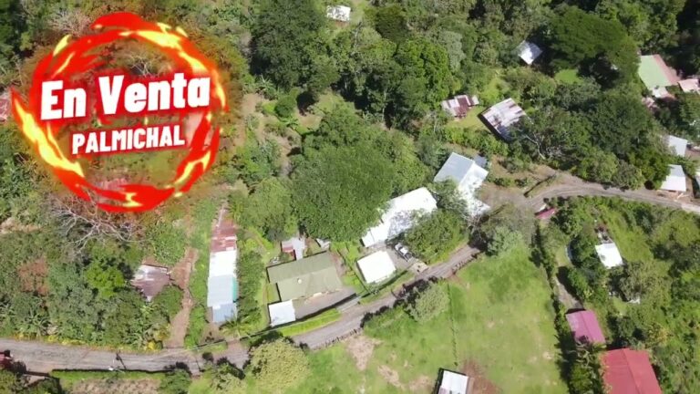 Creando Paz y Armonía en Jardines Privados