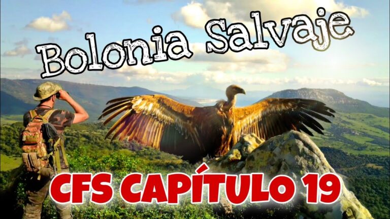 Exploración de Playas y Dunas en la Naturaleza