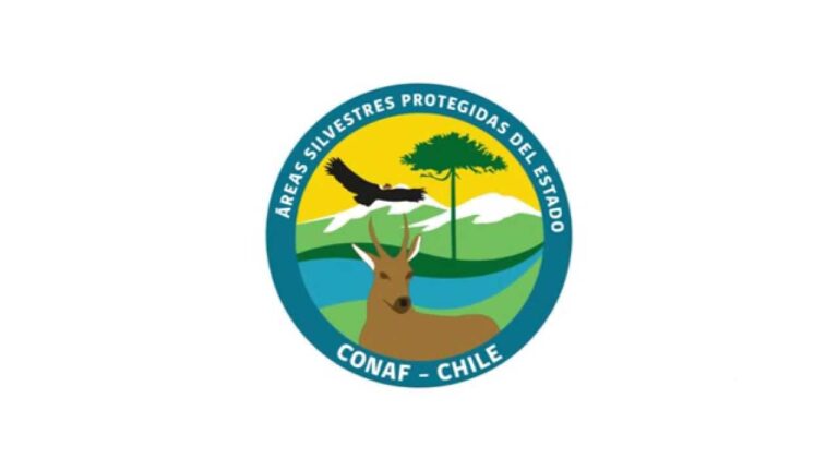 Ambientes Naturales para Mascotas en Parques: Creando Espacios Saludables