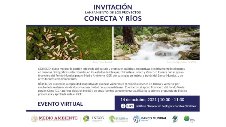 Estrategias Efectivas para la Recuperaci&oacute;n de Ecosistemas Vulnerables