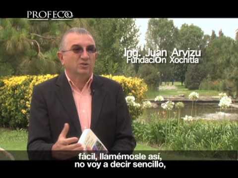 Especies Vegetales Ideales para Zonas Verdes Urbanas