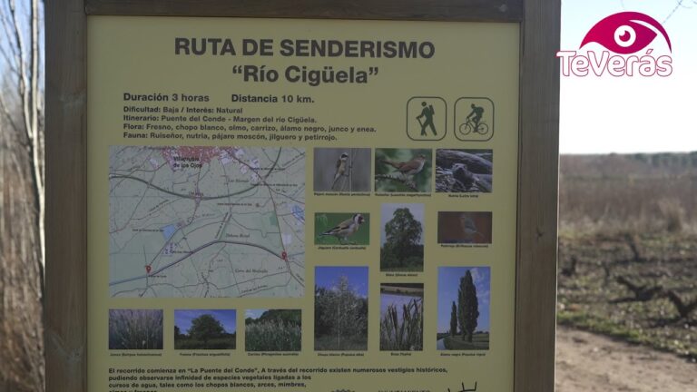 Carteles Informativos Esenciales para Senderismo