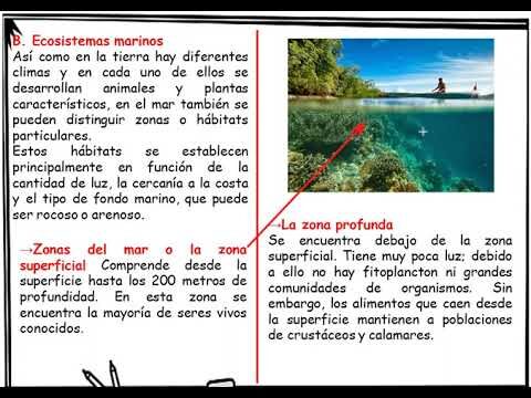 Ecosistemas Marinos en Zonas Verdes Coste&ntilde;as