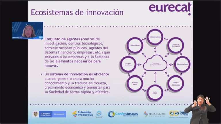 Optimizaci&oacute;n de la Colaboraci&oacute;n en Clusters Tecnol&oacute;gicos