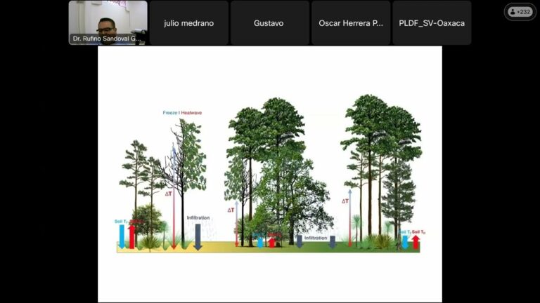 Estrategias para la Conservación de la Biodiversidad en Bosques Públicos