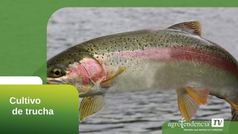 Cuidado del Ecosistema en Pesca Recreativa