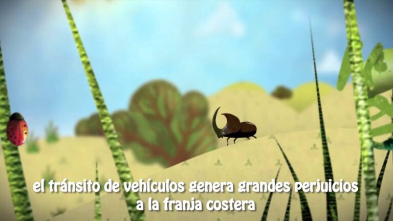 Turismo Responsable: Conservaci&oacute;n de Playas y Dunas Naturales