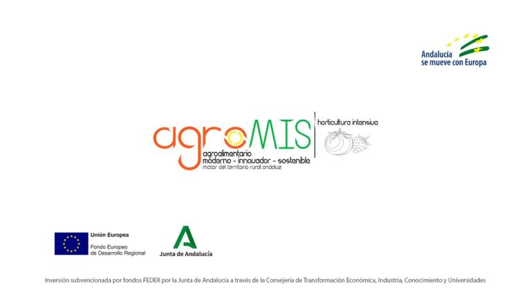 Innovaci&oacute;n en Cultivo Sostenible para Invernaderos Urbanos